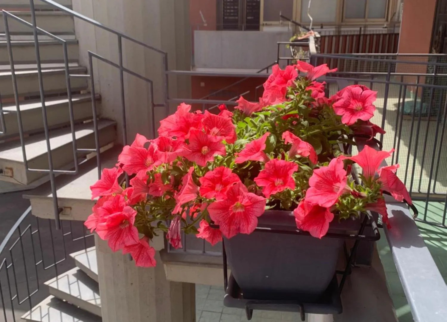 Mare Blu Stazzo Apartment 0*,